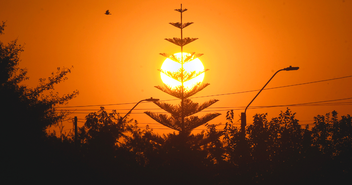 Ola de calor extremo activa alerta roja en Maule, Ñuble y Bío Bío