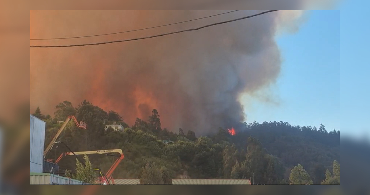 Ordenan evacuar diversos sectores de Penco y Concepción por incendio forestal