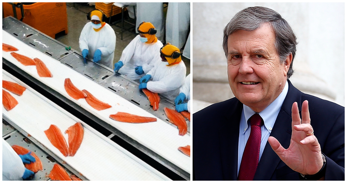 El exministro Patricio Melero asumirá como nuevo presidente de SalmonChile