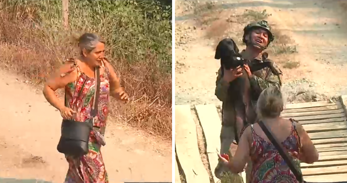 Mujer se reencuentra con su perrito tras escapar de incendios en Concepción