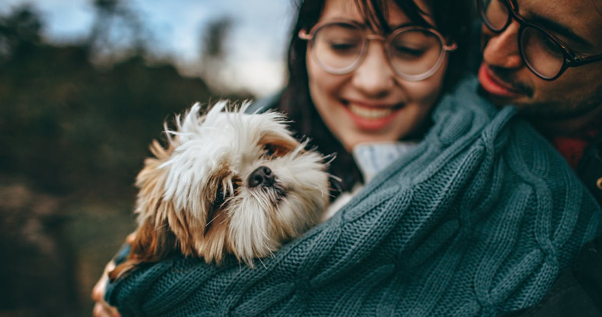 Estudio confirma que existen perros superdotados