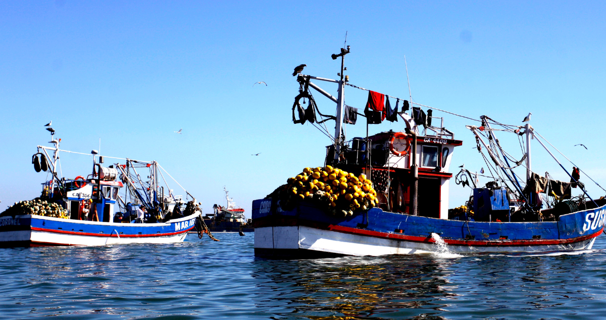 Pescadores Industriales se querellaron por piratería tras intento de robo de jurel en bahía de Coronel