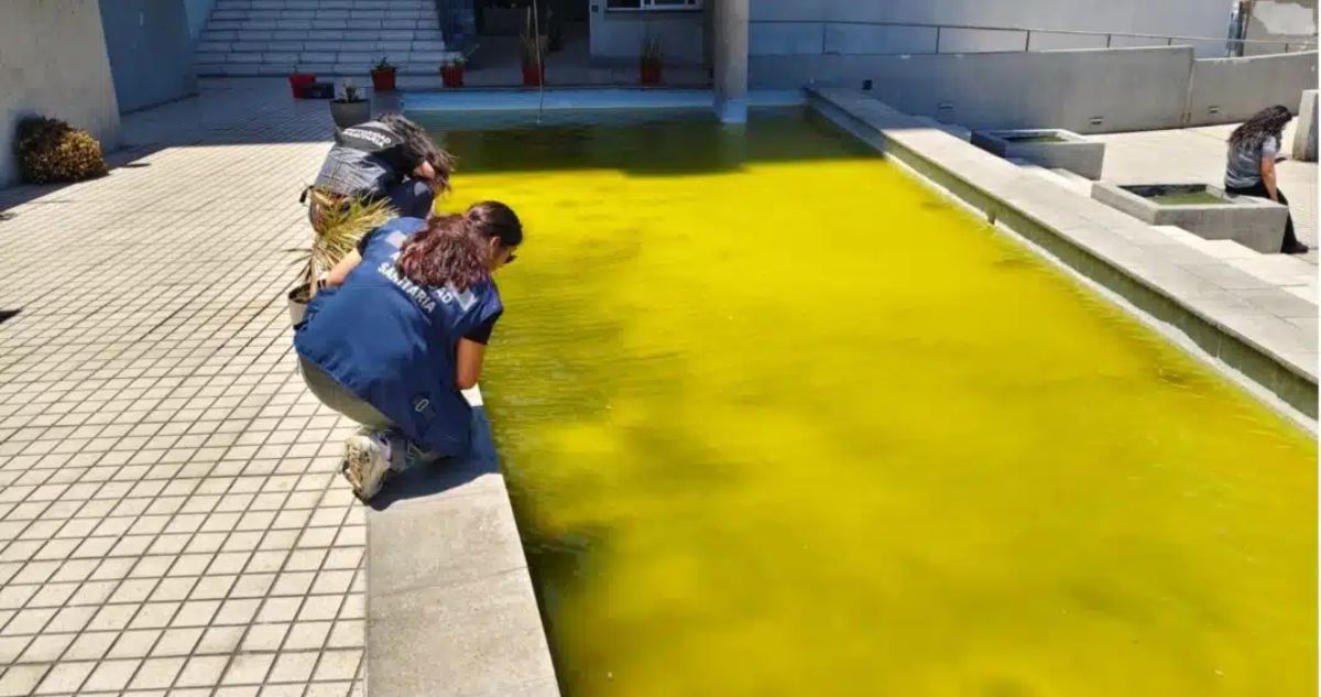 Clausuran piscinas en Antofagasta por incumplir norma sanitaria: había mosquitos, larvas y gusanos