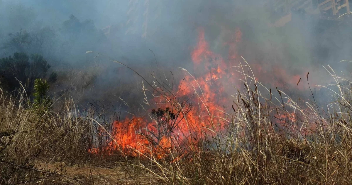 Quemas no autorizadas de dueños de parcelas generan incendios forestales