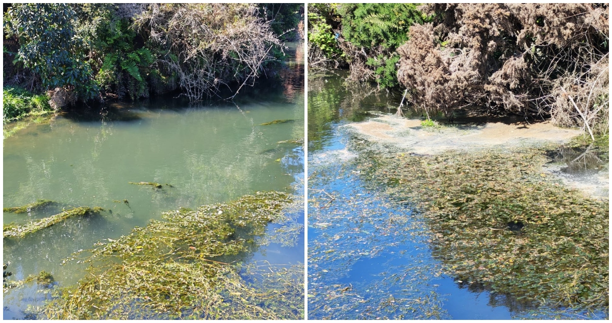 Contaminación en río Arenas en Puerto Montt