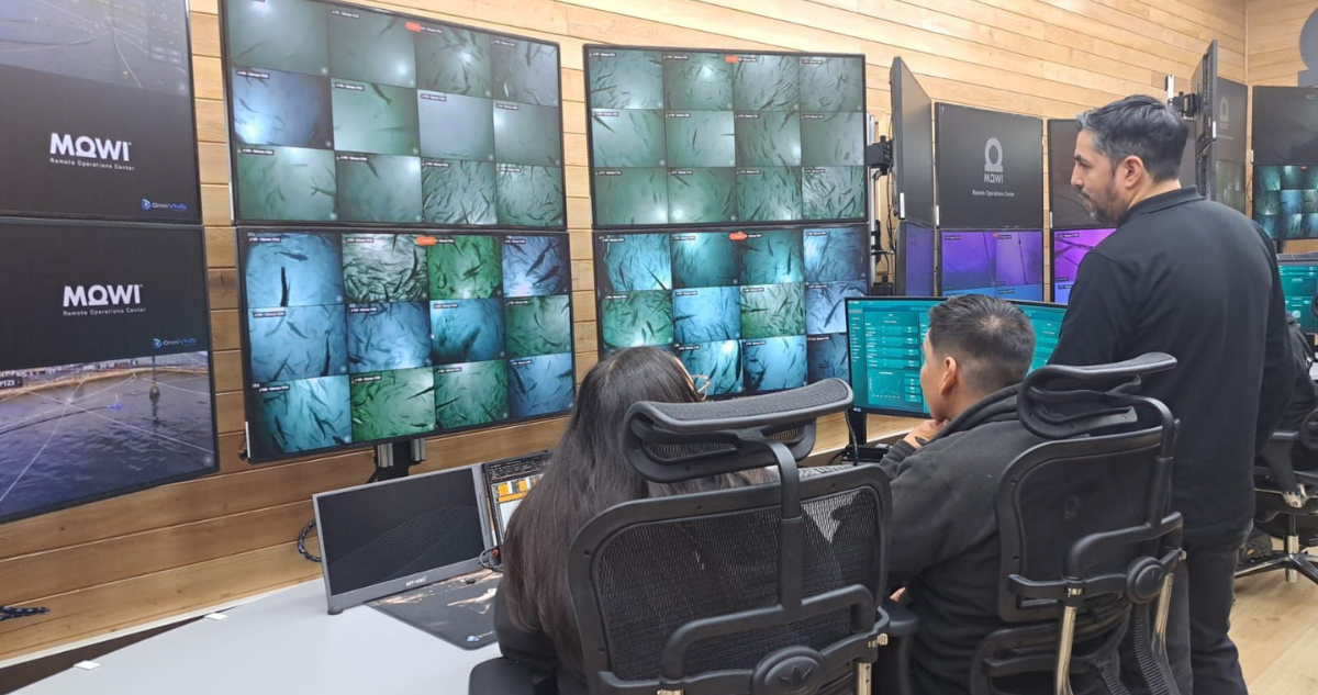 Instalan en Chonchi moderna sala de operaciones acuícola para alimentación y monitoreo remoto de peces