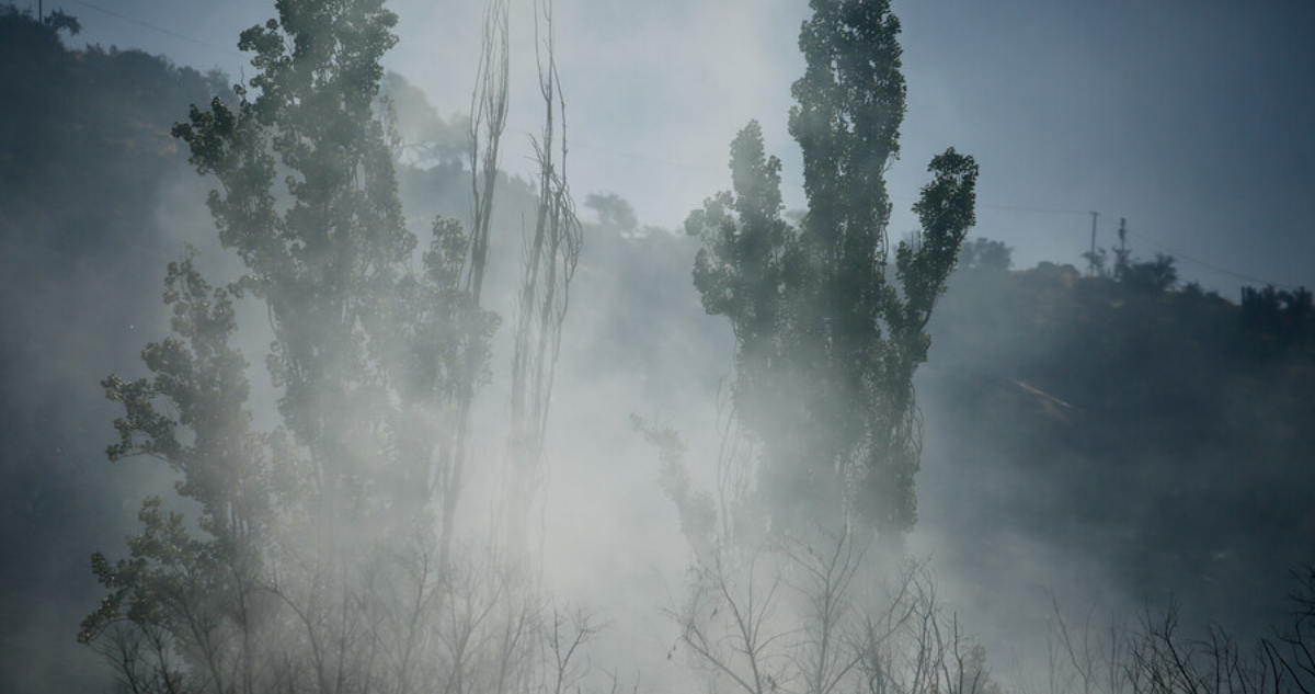 Senapred declara alerta roja para las comunas de Rancagua, Maule y Paine por incendios forestales