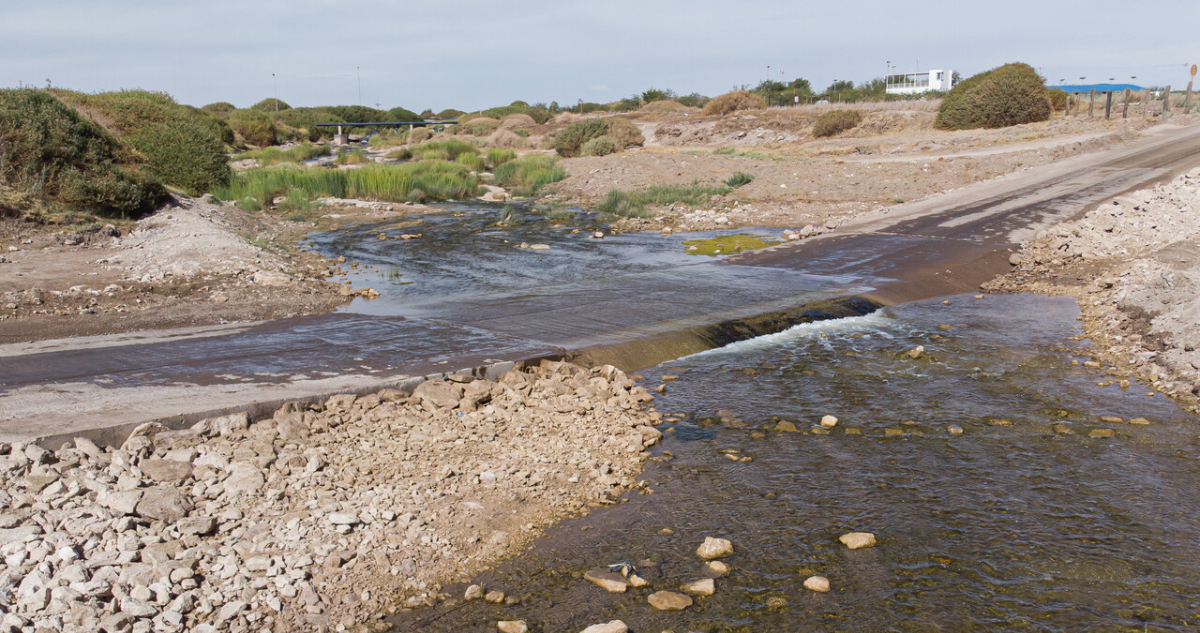 Senapred ordena evacuar sector de Calama por crecida del Río Loa