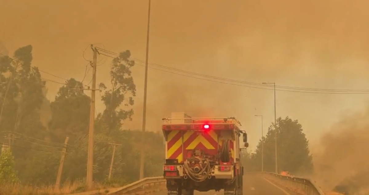 Senapred ordena evacuar sectores de Laja, Hualqui y Concepción ante emergencia por incendio forestal
