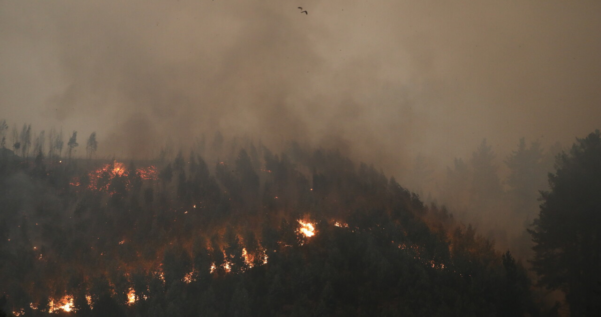 Senapred ordena evacuar sectores de Puente 3, 4 y 5 en Concepción por incendio forestal