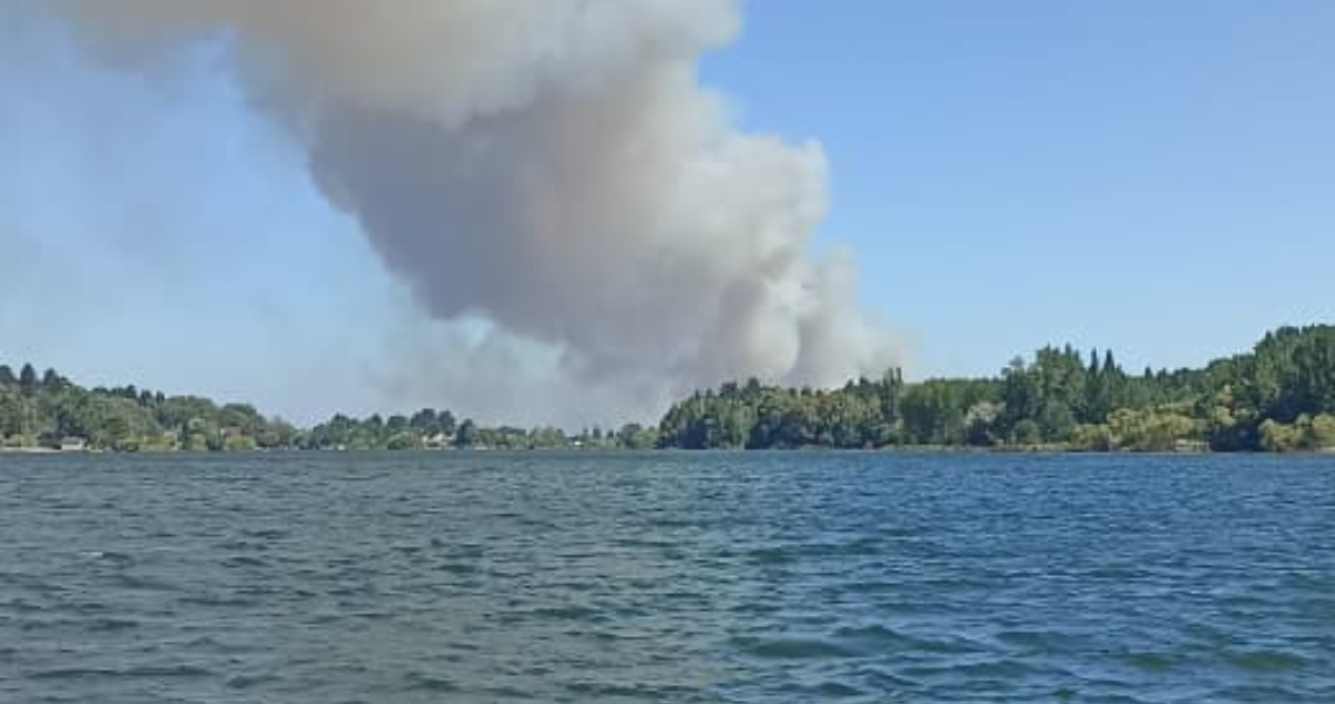 Senapred solicita evacuar el sector Manque Sur, comuna de Quillón, por incendio forestal