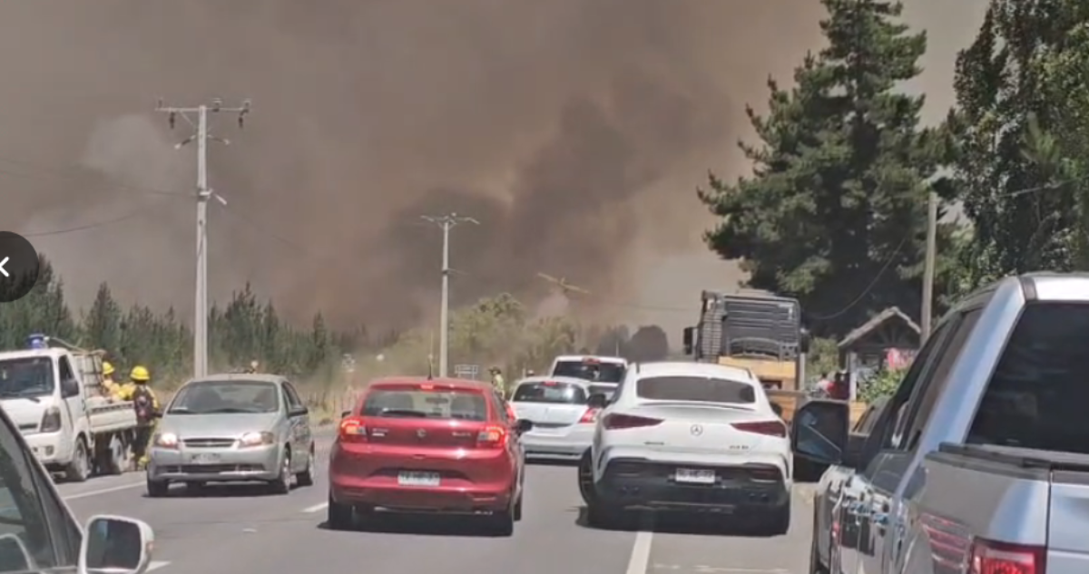 Senapred solicita evacuar tres sectores de Laja por incendio forestal: se activó alerta SAE