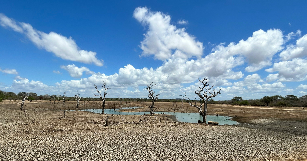 La ONU declara que la Tierra comenzó “la era de bancarrota hídrica mundial”