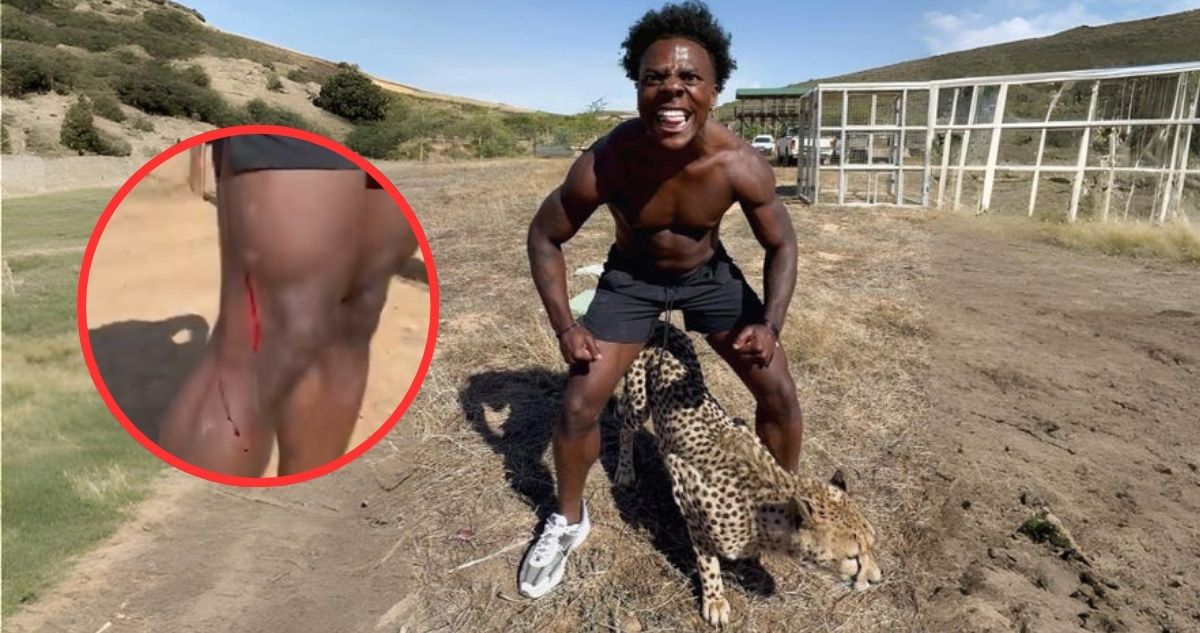VIDEO: Youtuber Speed resulta herido por un chita: retó al animal más rápido del mundo a una carrera