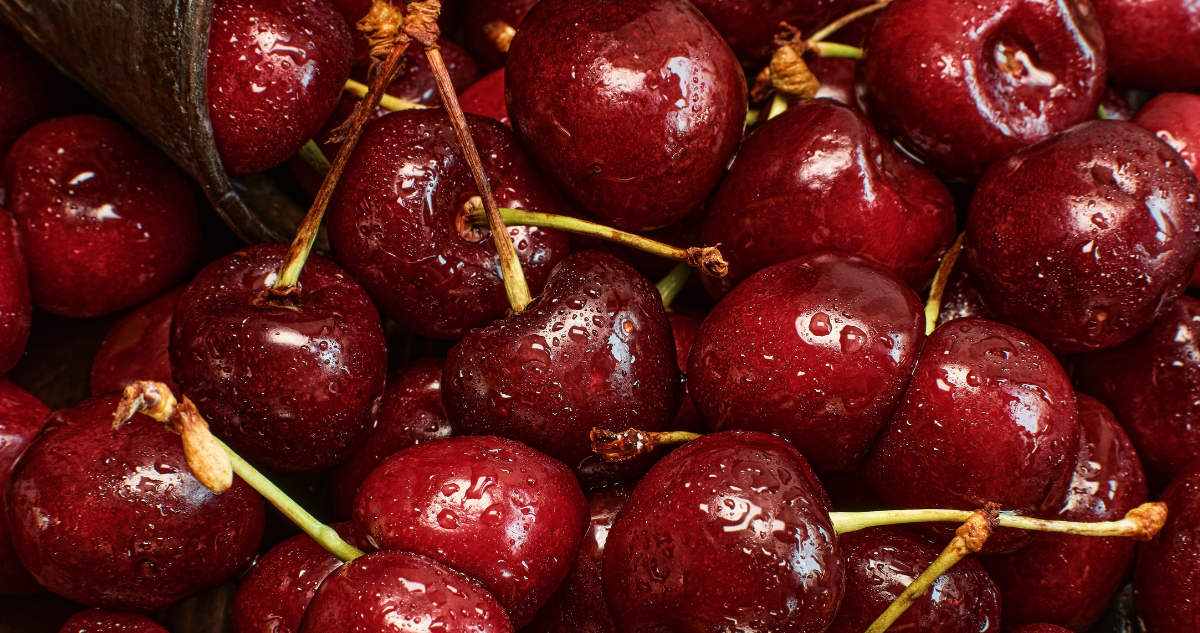 Temporada agria para las cerezas: caída de precios en mercado internacional complica a agricultores