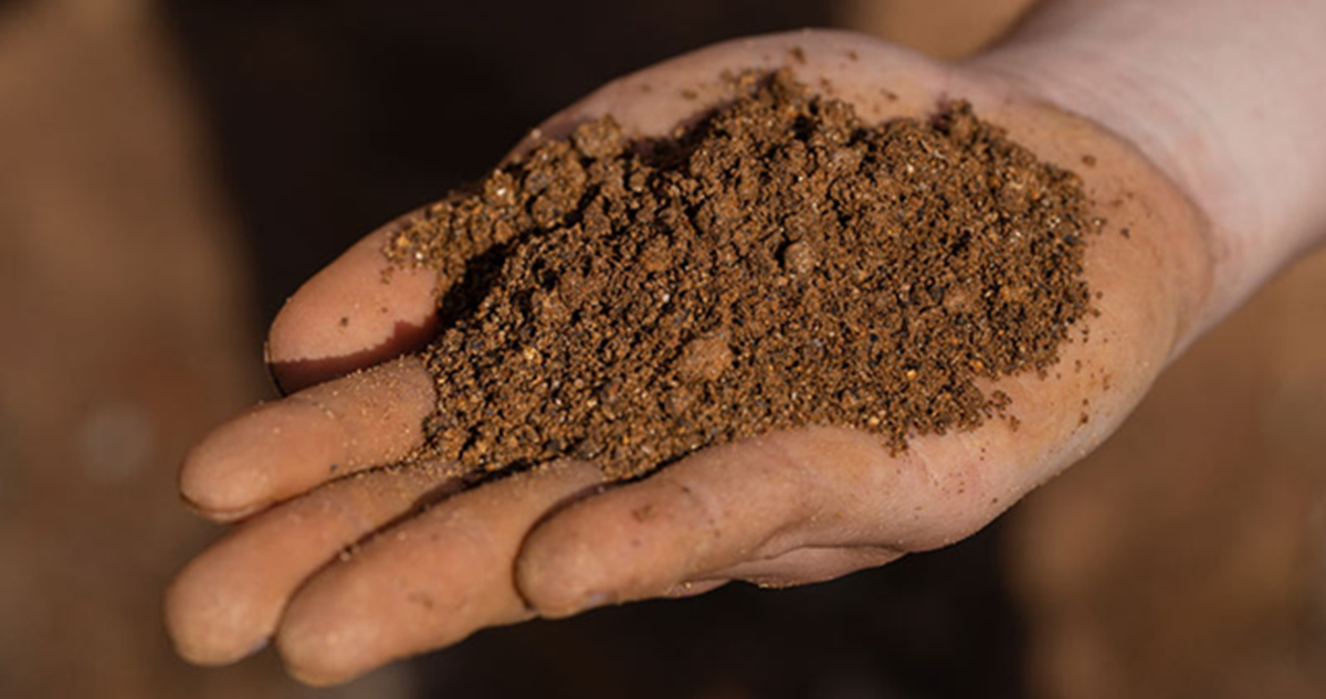 Suspenden evaluación de proyecto de tierras raras en Penco y otras 5 iniciativas por incendios