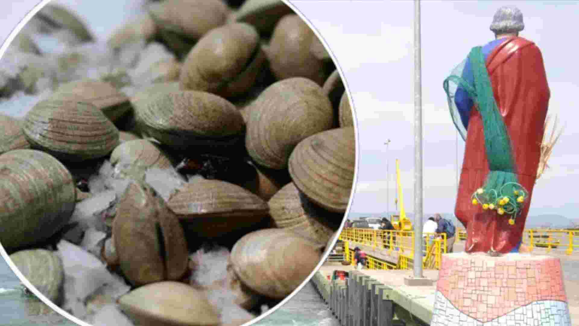 Alerta tras marea roja por toxina amnésica en Tongoy: Riesgo de daño neurológico y convulsiones