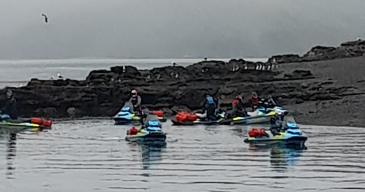 Turistas rusos islote con pinguinos en Chiloé