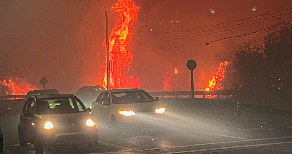 “Una catástrofe”: Más de 18 mil hectáreas han sido consumidas por incendios en la región del Bío Bío