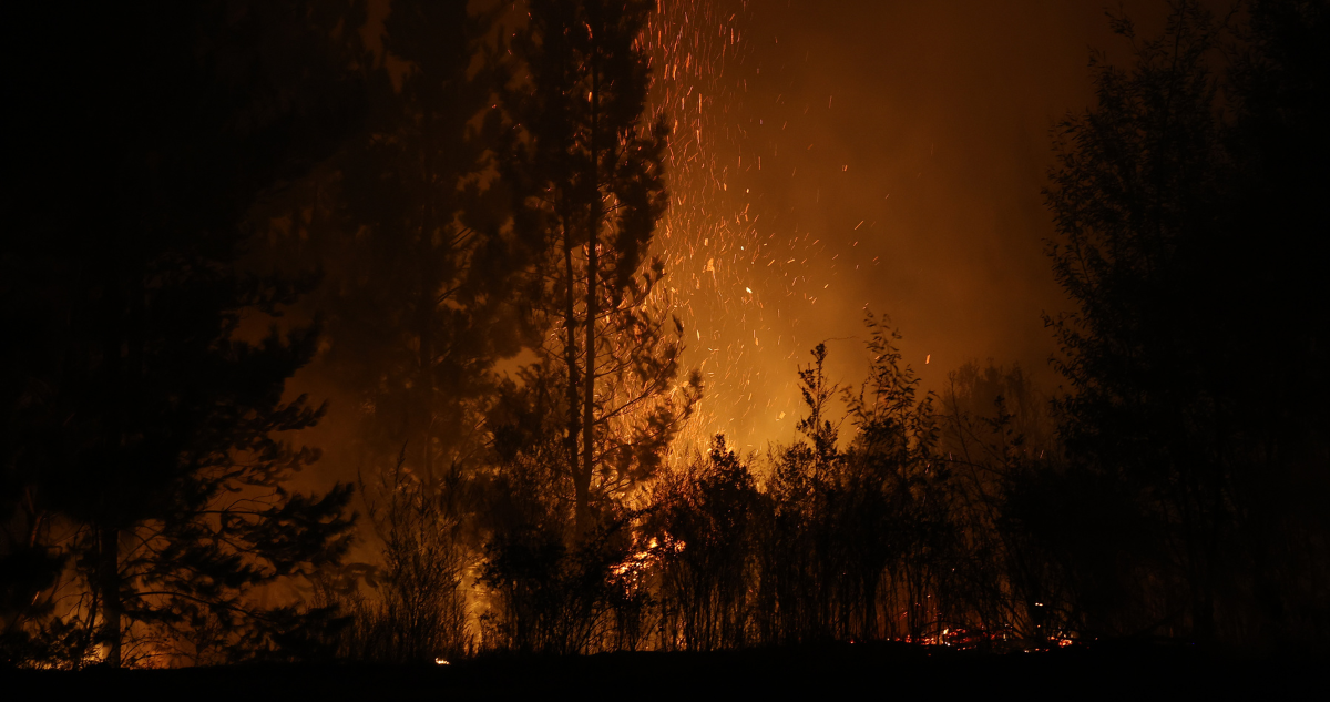 Incendio forestal