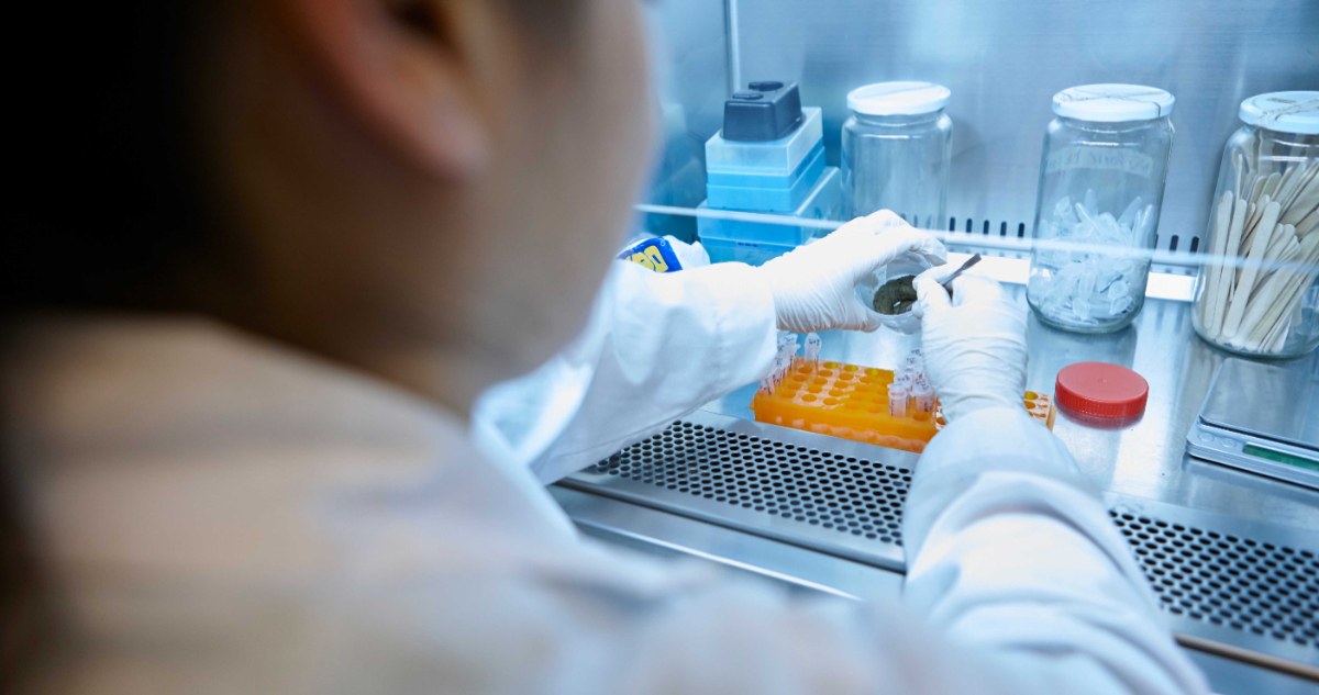 USS destaca entre las universidades chilenas con más proyectos Fondecyt Regular adjudicados en 2026