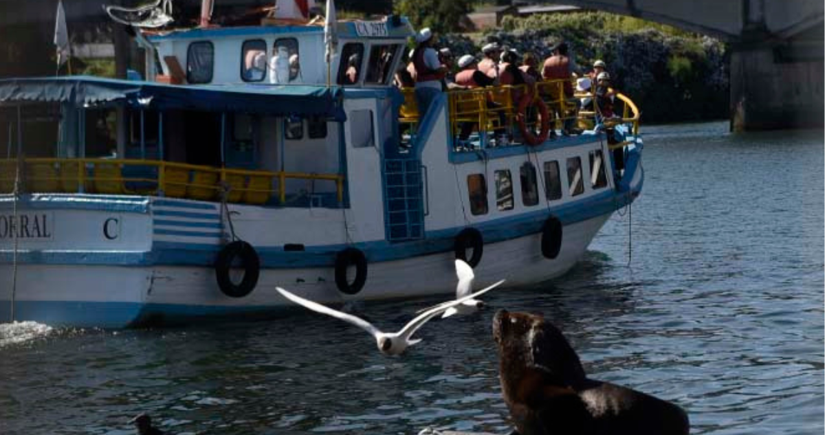 Valdivia: guías turísticos, artesanos y comerciantes dicen tener buenas expectativas para el verano