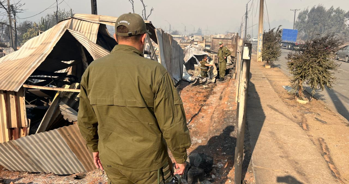 Confirman primera víctima fatal por incendios forestales en el Bío Bío: vecino murió en Punta de Parra