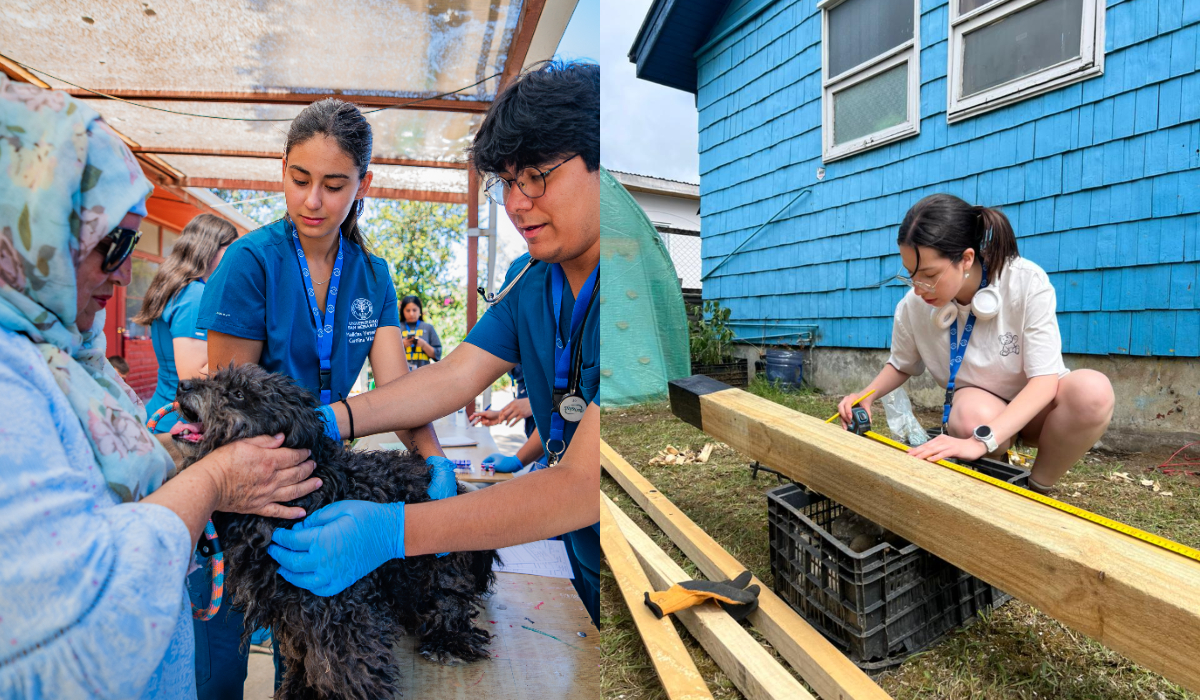 Más de 230 estudiantes USS participan en trabajos voluntarios en comunidades de cuatro regiones