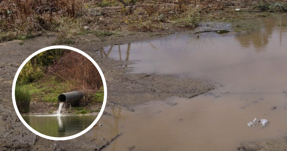 Foto de contexto de estero y foto de archivo de descarga en estero Perquenco.