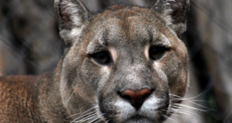 ARCHIVO | AgenciaUno