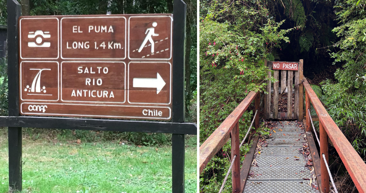 Acusan que particulares bloquean un sendero del Parque Puyehue desde hace años: afectaría al turismo
