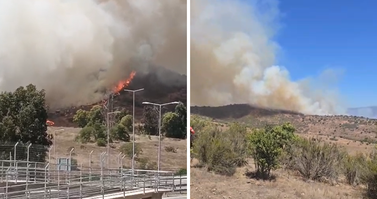 Alerta Roja para Puchuncaví por incendio forestal que lleva 7 hectáreas consumidas