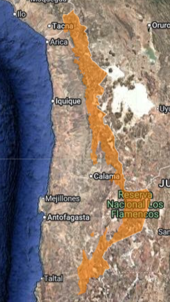 Alerta por tormentas eléctricas en el norte de Chile