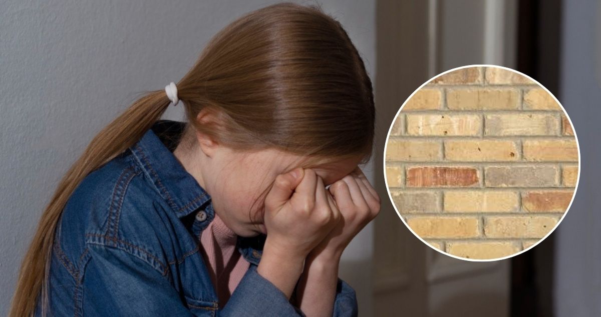 Caso digno de CSI: cómo un ladrillo permitió el rescate de una niña abusada por pedófilo en la Deepweb