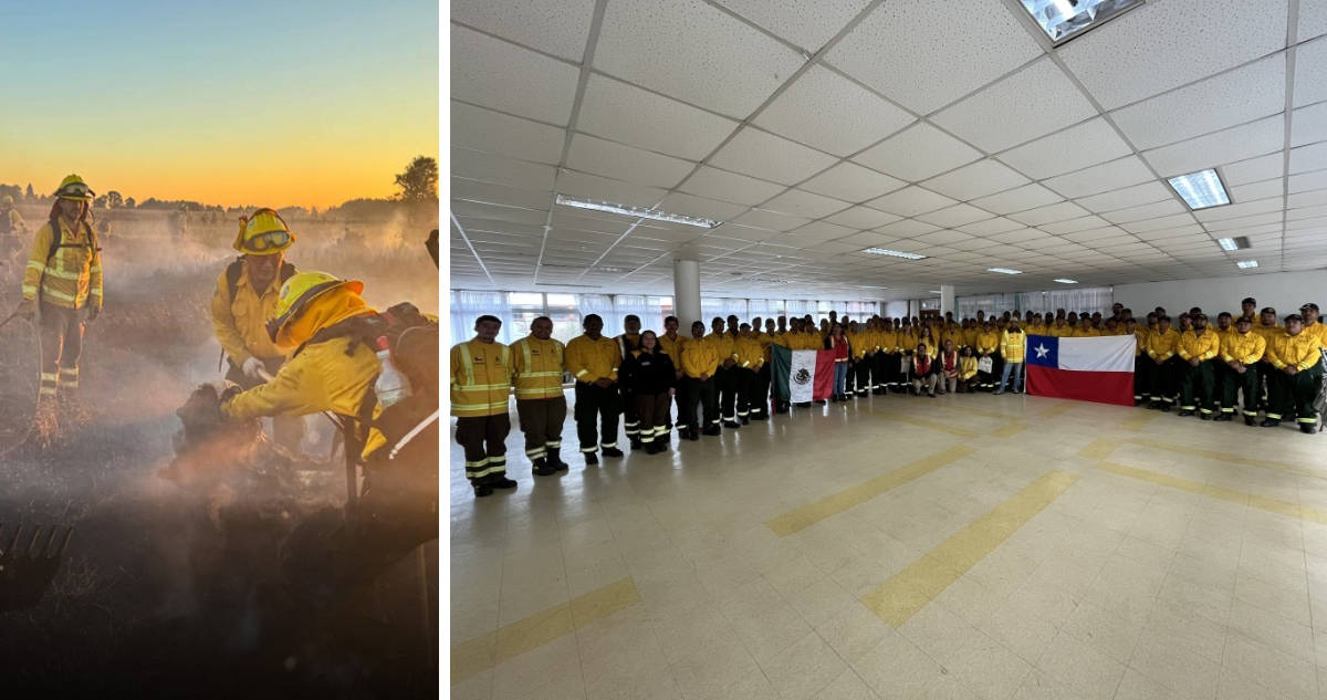 Brigadistas mexicanos retornan a su país tras prestar apoyo en combate de incendios en La Araucanía