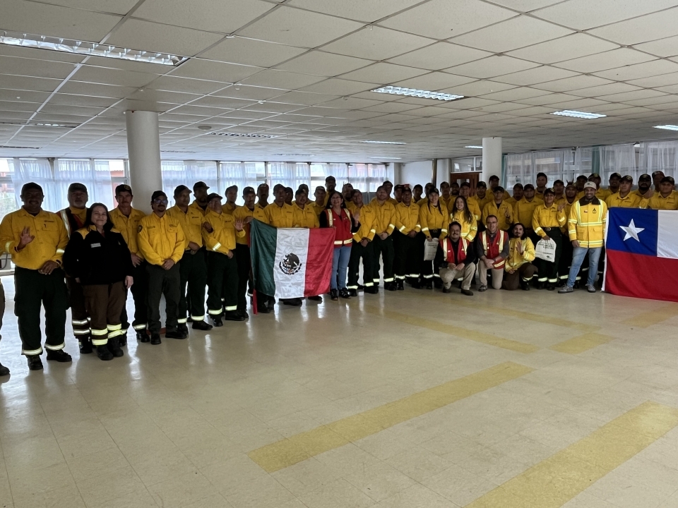 Brigadistas mexicanos dejando La Araucanía