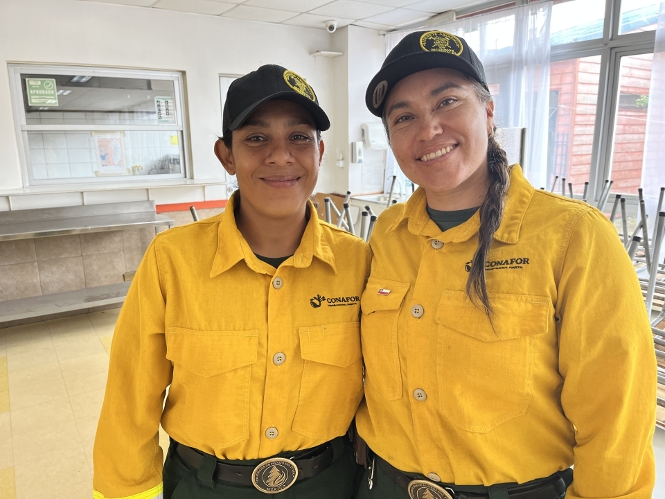 Brigadistas mexicanas