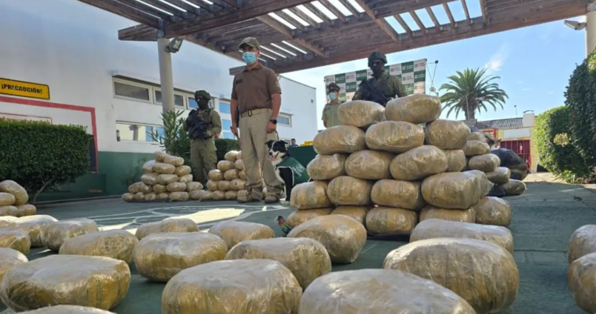 Cachorro del OS7 detectó 1,5 toneladas de droga en operativo que dejó a un detenido en Coquimbo