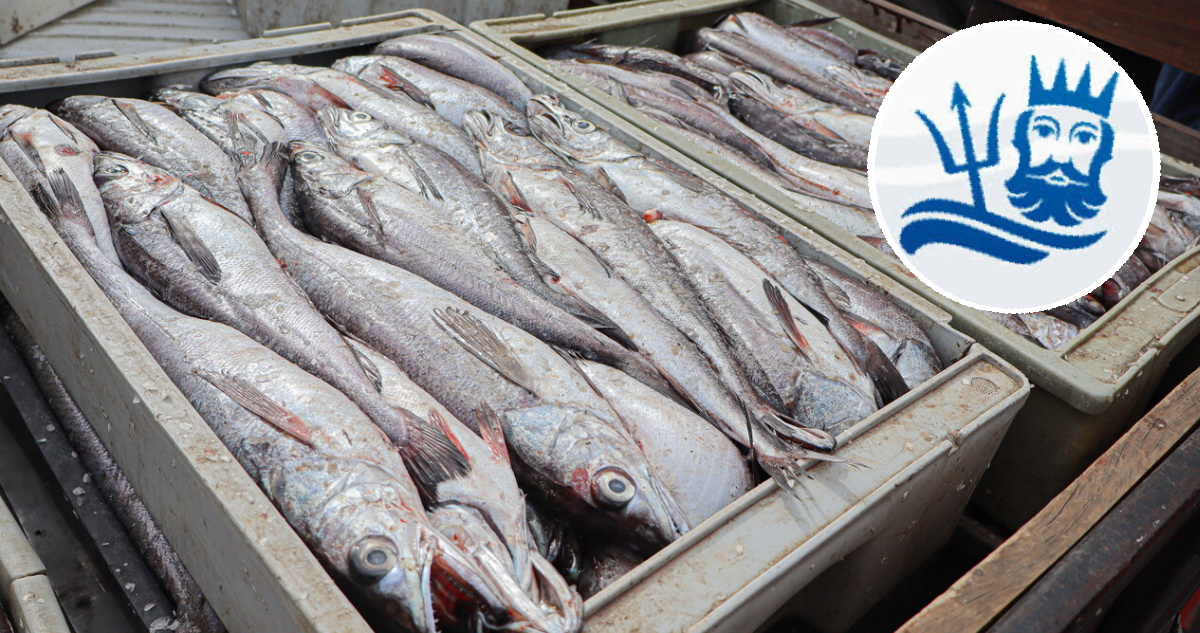 Camanchaca demanda en $90 mil millones al Estado de Chile y acusa daños por cambios en la Ley de Pesca