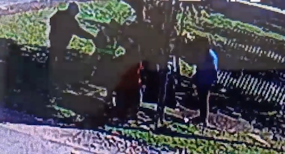 Captura de video