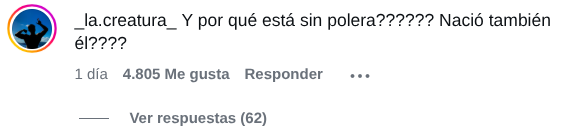Comentario