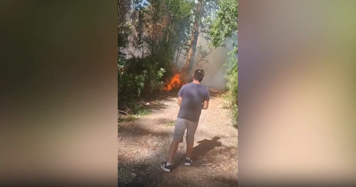 Familia critica a Fiscalía por incendio forestal en Los Ríos