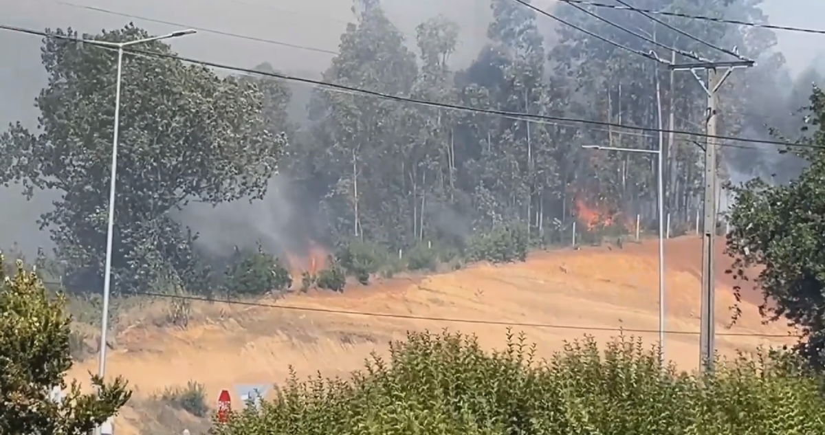 Por cercanía a zonas pobladas: declaran Alerta Roja por incendio forestal en Valdivia
