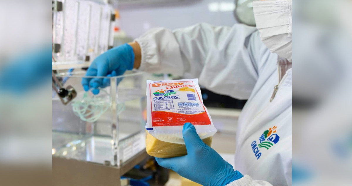 Los Lagos: autoridades regionales expresan preocupación por situación de empresa Chilolac en Ancud