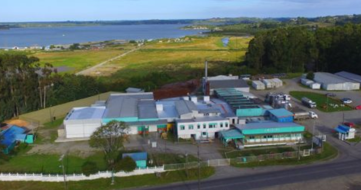 Autoridades advierten posibles efectos económicos y sociales ante cierre de Chilolac