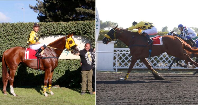 Chiqui Chavarría hípica Concepción