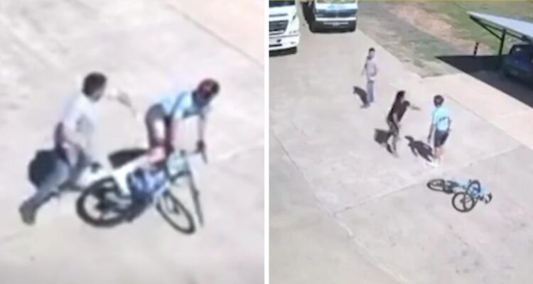 Ciclista olímpico argentino fue agredido mientras entrenaba: personal de supermercado lo auxilió