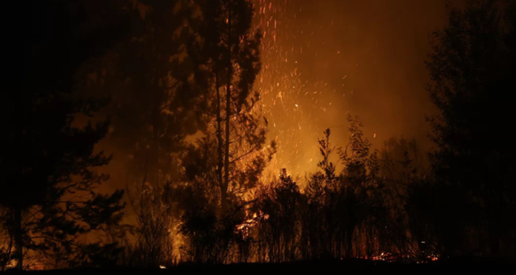 Concejal (FREVS) de Penco presenta querella por incendios y pide incautar registros de autoridades