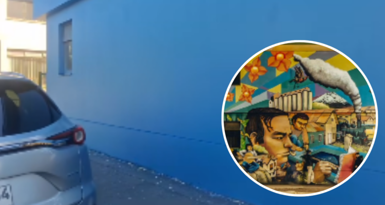 Captura de video | Redes sociales