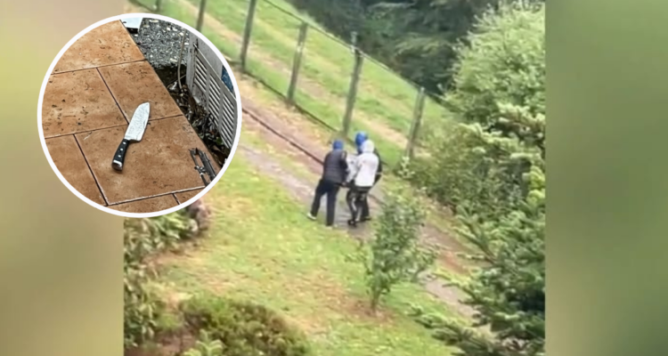 Delincuentes roban joyas y caja fuerte de casa en Valdivia: intimidaron con cuchillos a los dueños